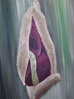 Magnolieknospe - 24cm x 30cm (BxH)