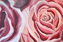 Rosa Rosen - 100cm x 80cm (BxH)